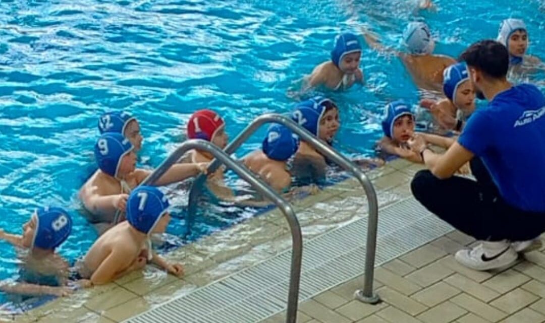 Pallanuoto - Arvalia Nuoto Lamezia